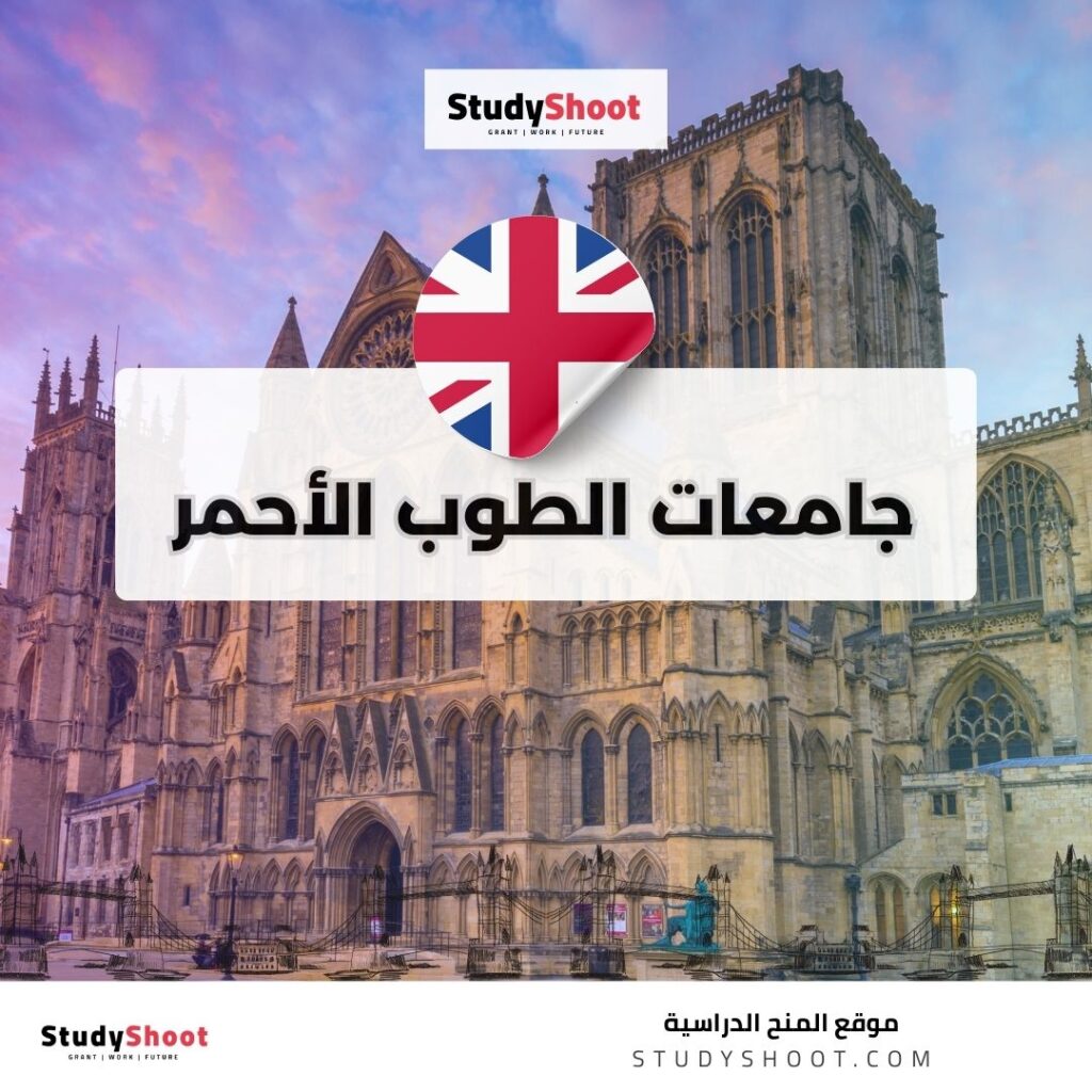 جامعات الطوب الأحمر