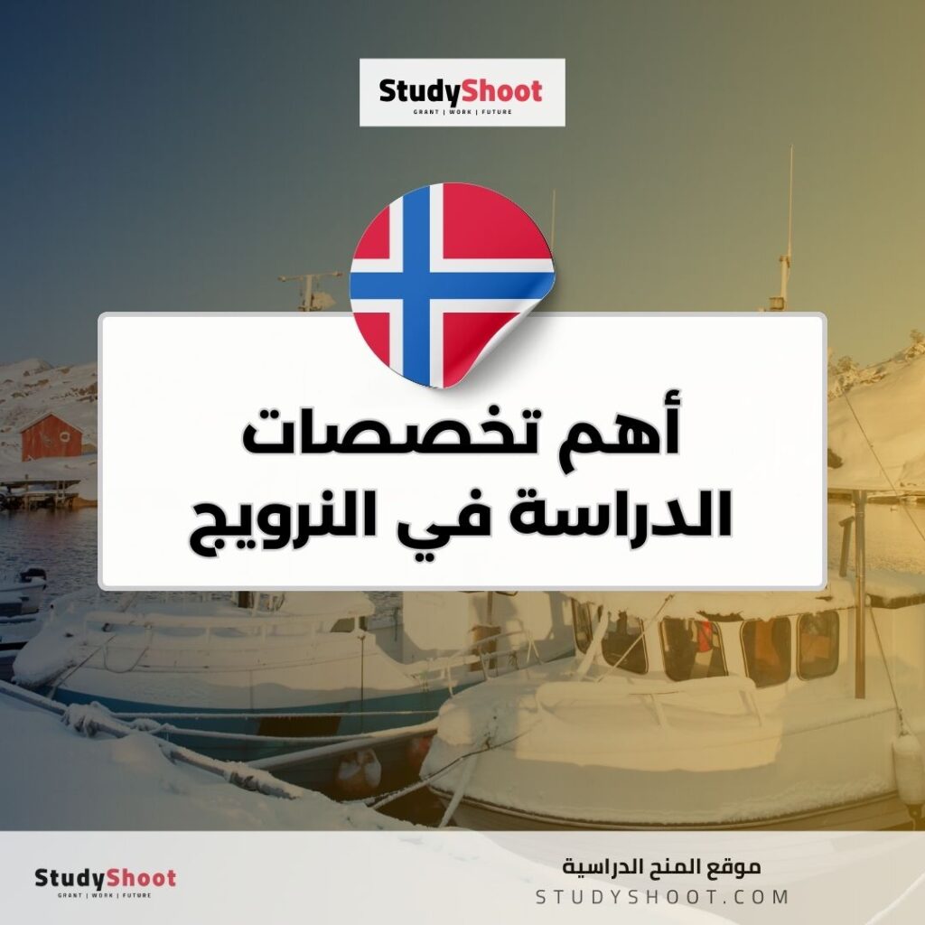 أهم تخصصات الدراسة في النرويج