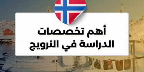 أهم تخصصات الدراسة في النرويج