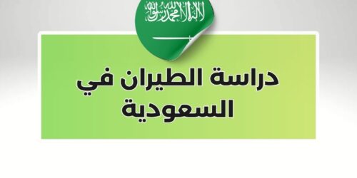 دراسة الطيران في السعودية