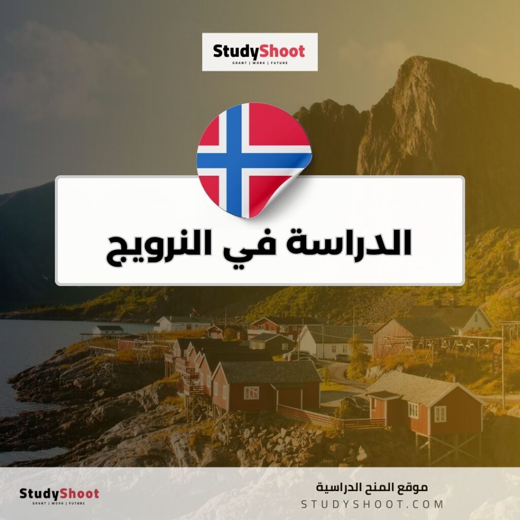 الدراسة في النرويج