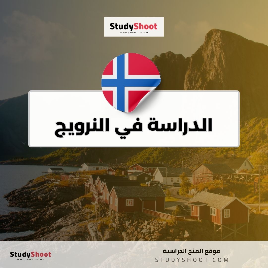 الدراسة في النرويج
