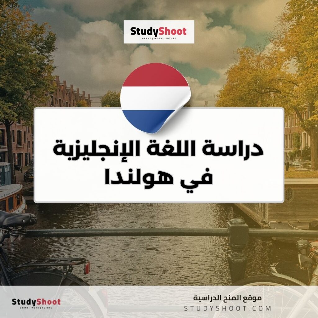 دراسة اللغة الإنجليزية في هولندا