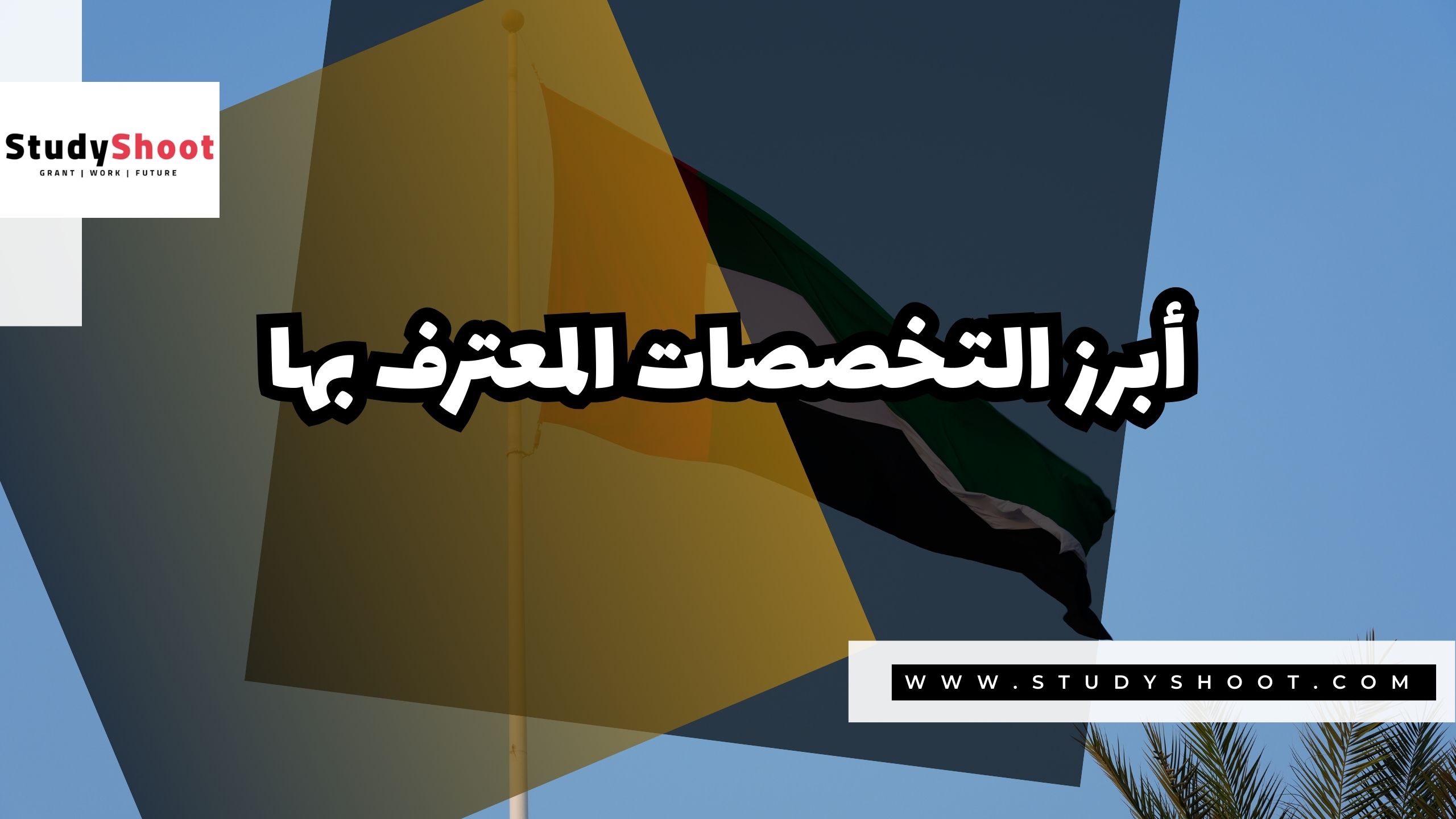 أبرز التخصصات المعترف بها