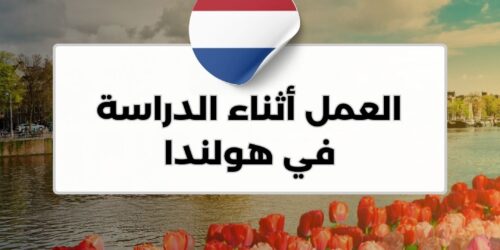 العمل أثناء الدراسة في هولندا