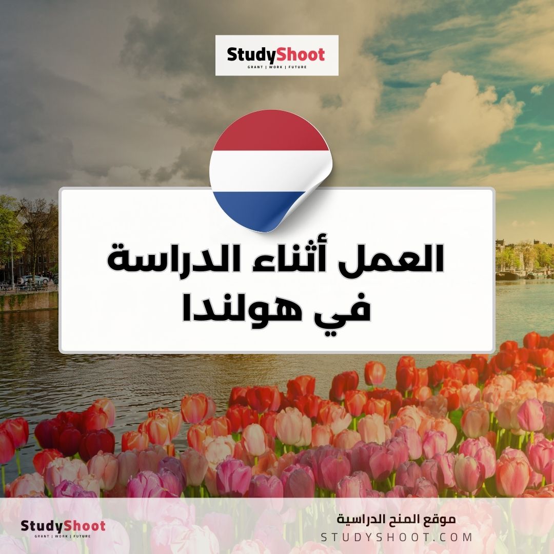 العمل أثناء الدراسة في هولندا