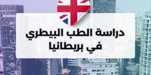 دراسة الطب البيطري في بريطانيا