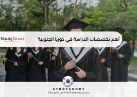 أهم تخصصات الدراسة في كوريا الجنوبية