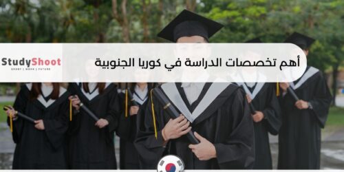 أهم تخصصات الدراسة في كوريا الجنوبية