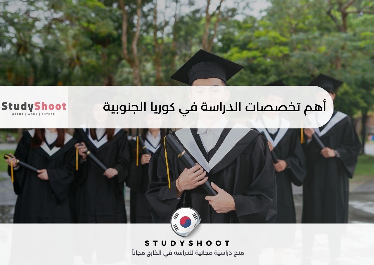 أهم تخصصات الدراسة في كوريا الجنوبية