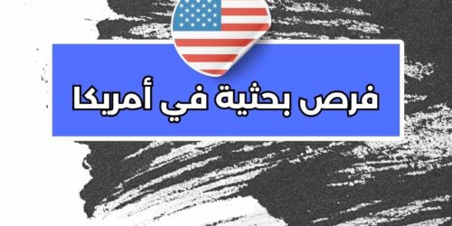 فرص بحثية في أمريكا