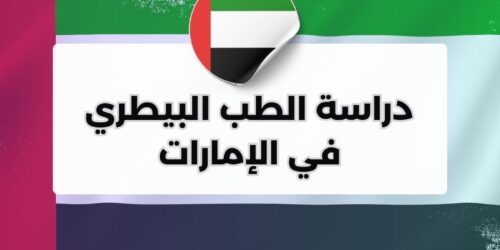 دراسة الطب البيطري في الإمارات