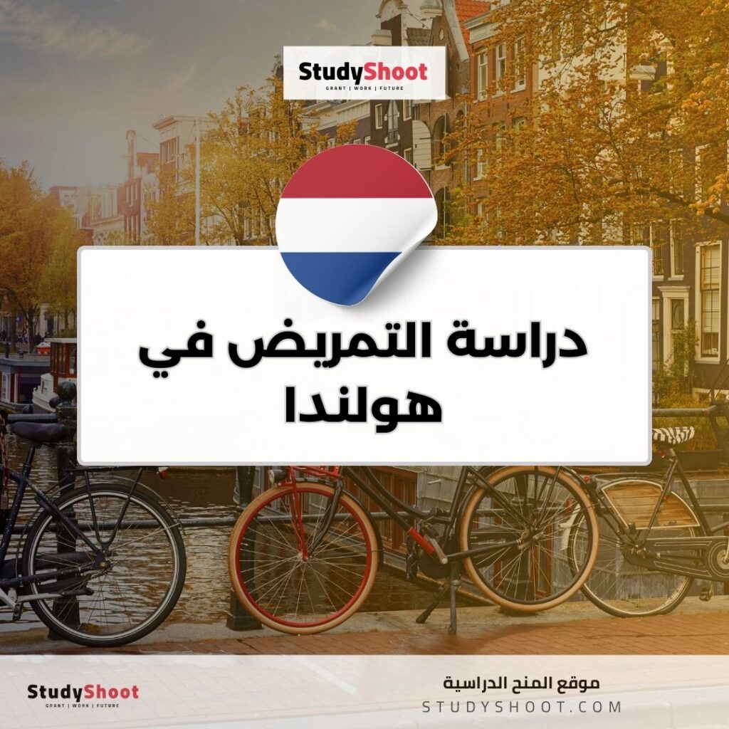 دراسة التمريض في هولندا