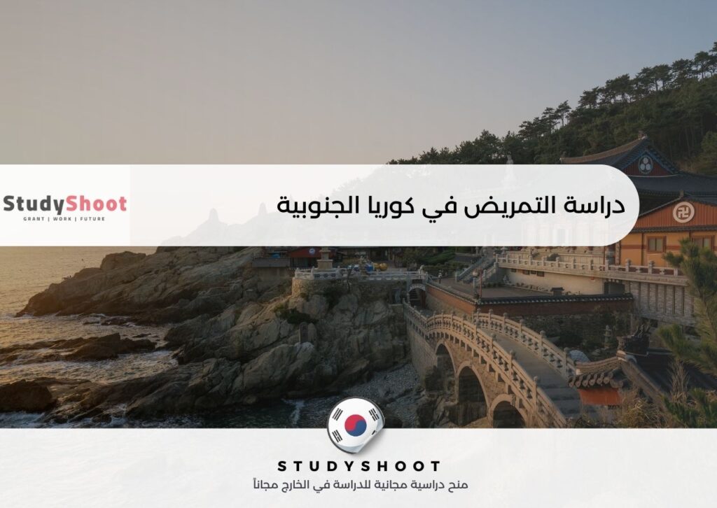 دراسة التمريض في كوريا الجنوبية