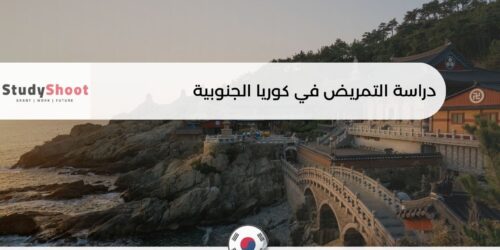 دراسة التمريض في كوريا الجنوبية
