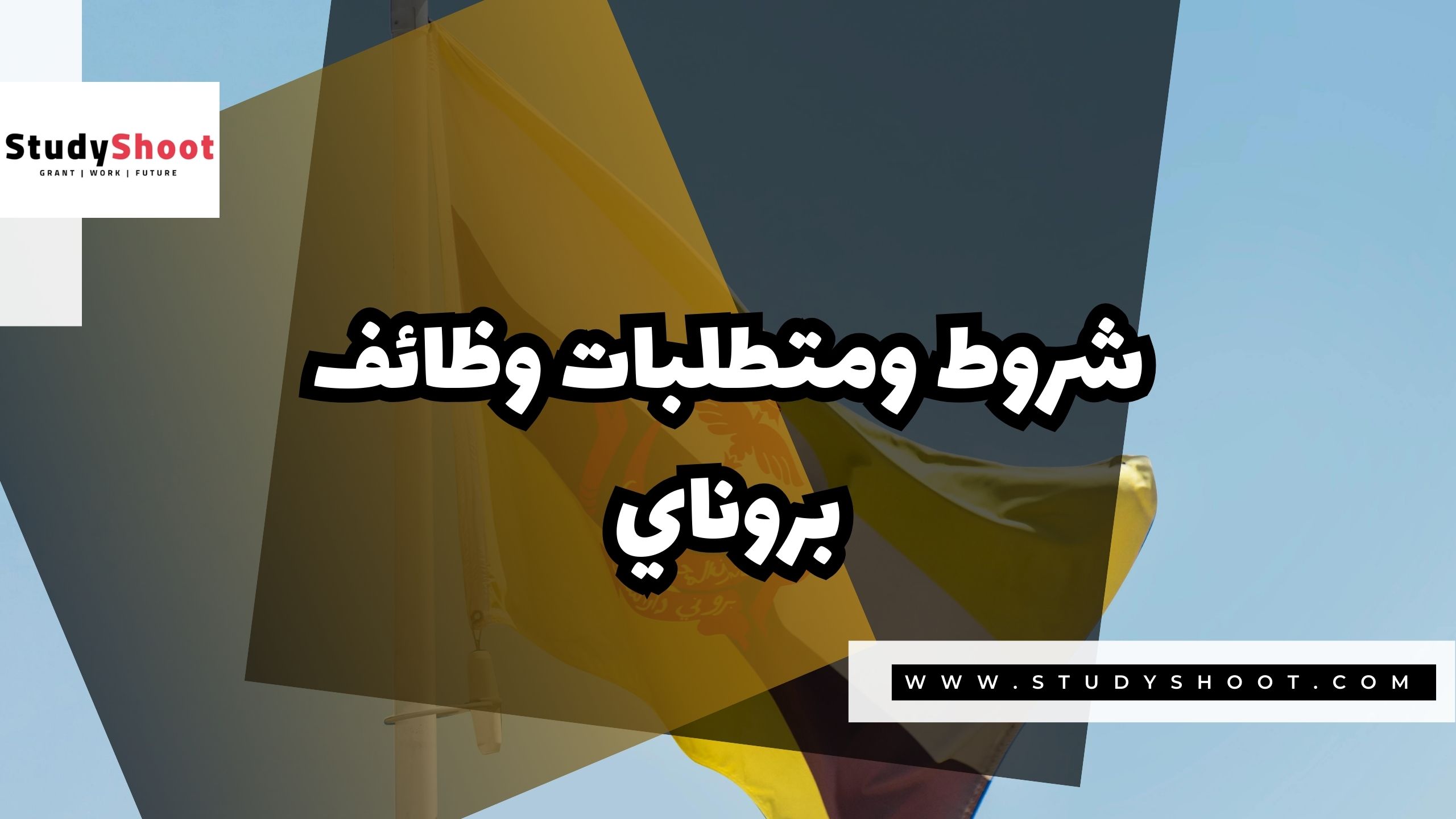 شروط ومتطلبات وظائف بروناي