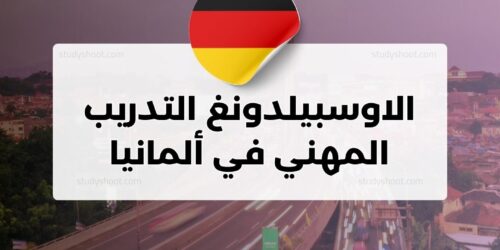 الاوسبيلدونغ: التدريب المهني في ألمانيا و أهم المعلومات للتسجيل
