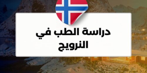 دراسة الطب في النرويج