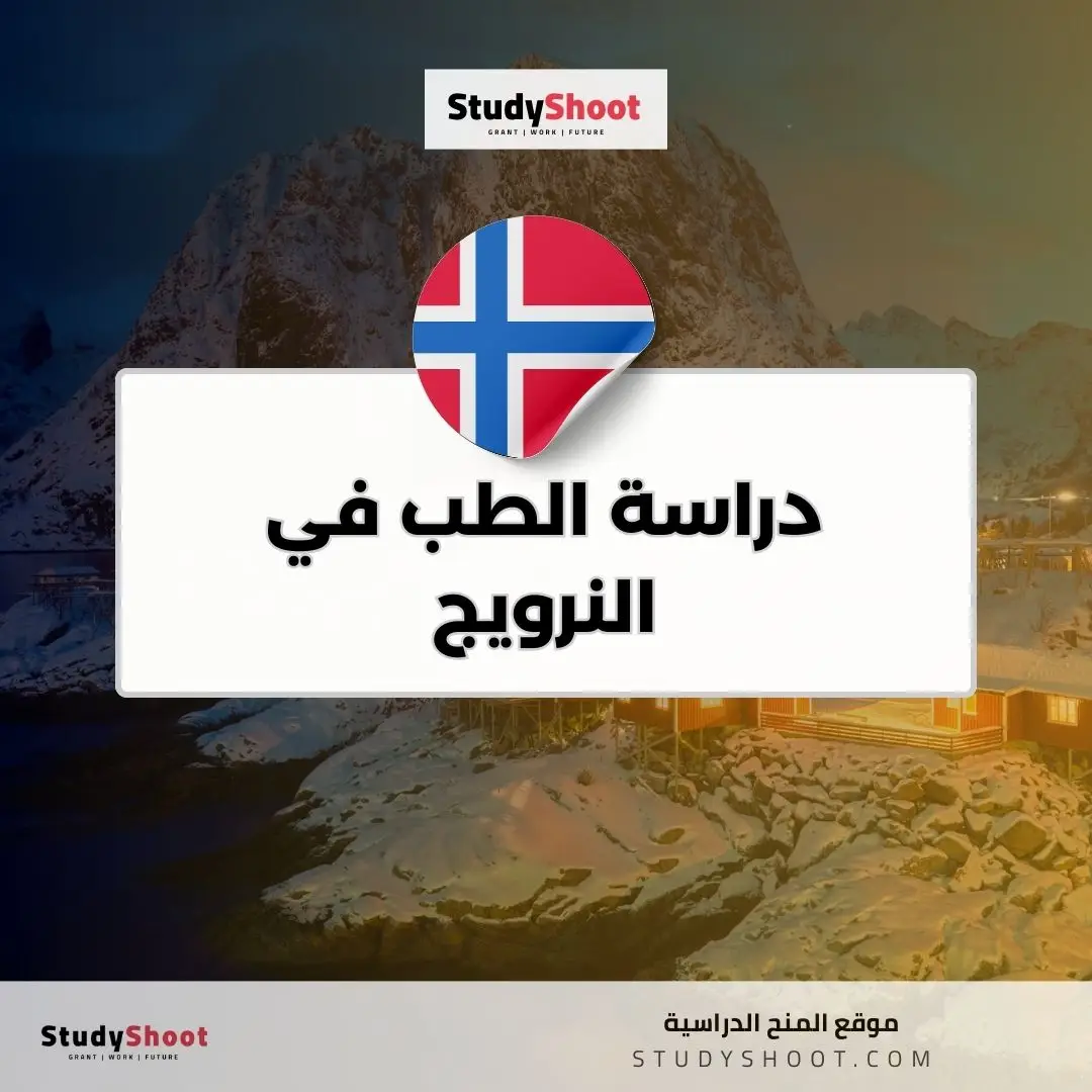 دراسة الطب في النرويج