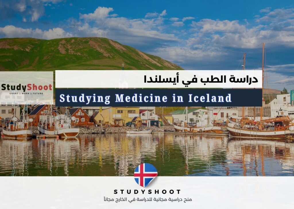 دراسة الطب في أيسلندا