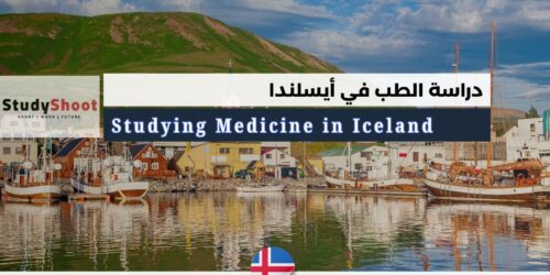دراسة الطب في أيسلندا