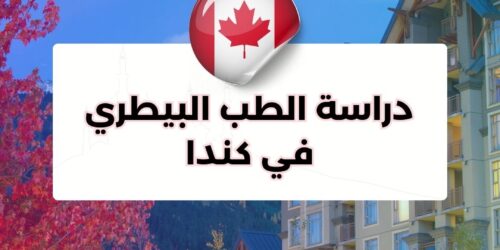 دراسة الطب البيطري في كندا