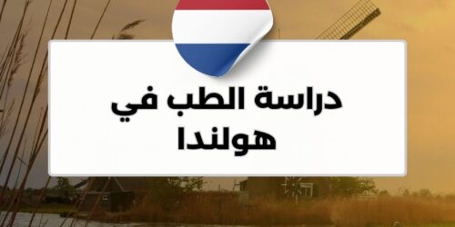 دراسة الطب في هولندا