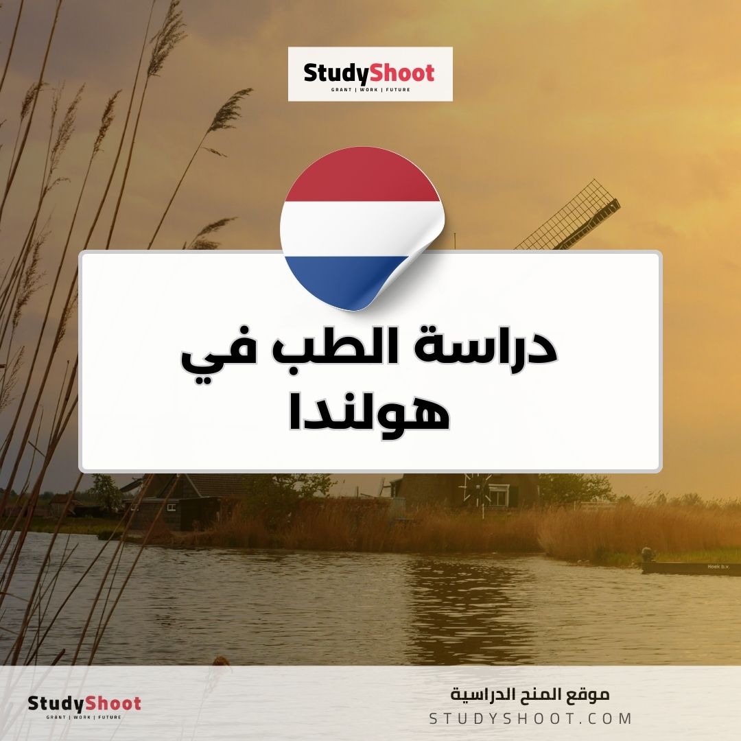 دراسة الطب في هولندا