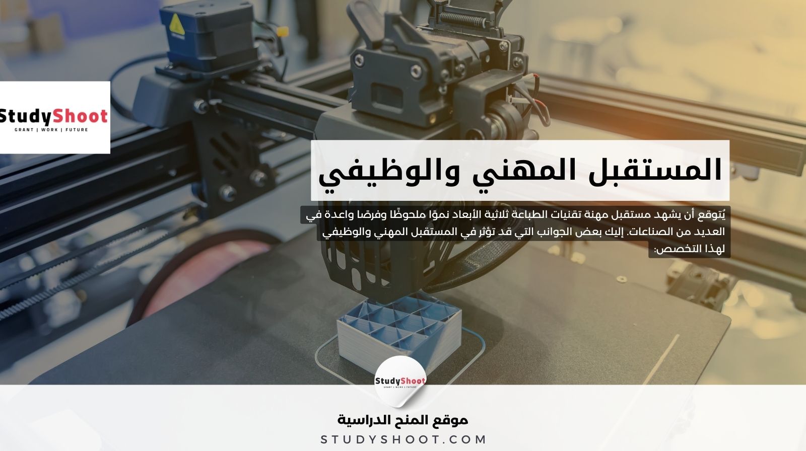 المستقبل المهني والوظيفي