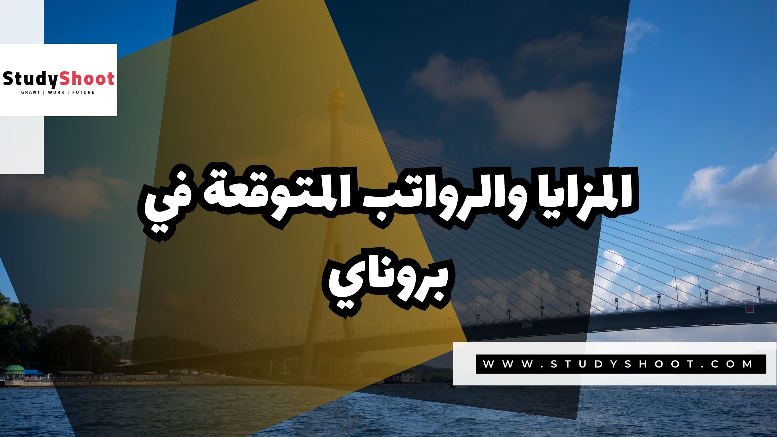 المزايا والرواتب المتوقعة في بروناي