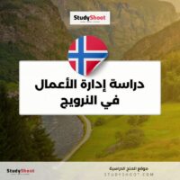 دراسة إدارة الأعمال في النرويج