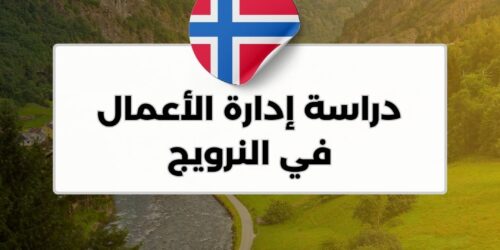 دراسة إدارة الأعمال في النرويج