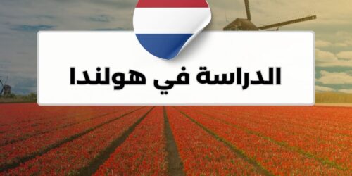 الدراسة في هولندا