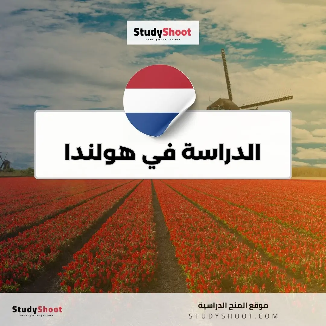 الدراسة في هولندا