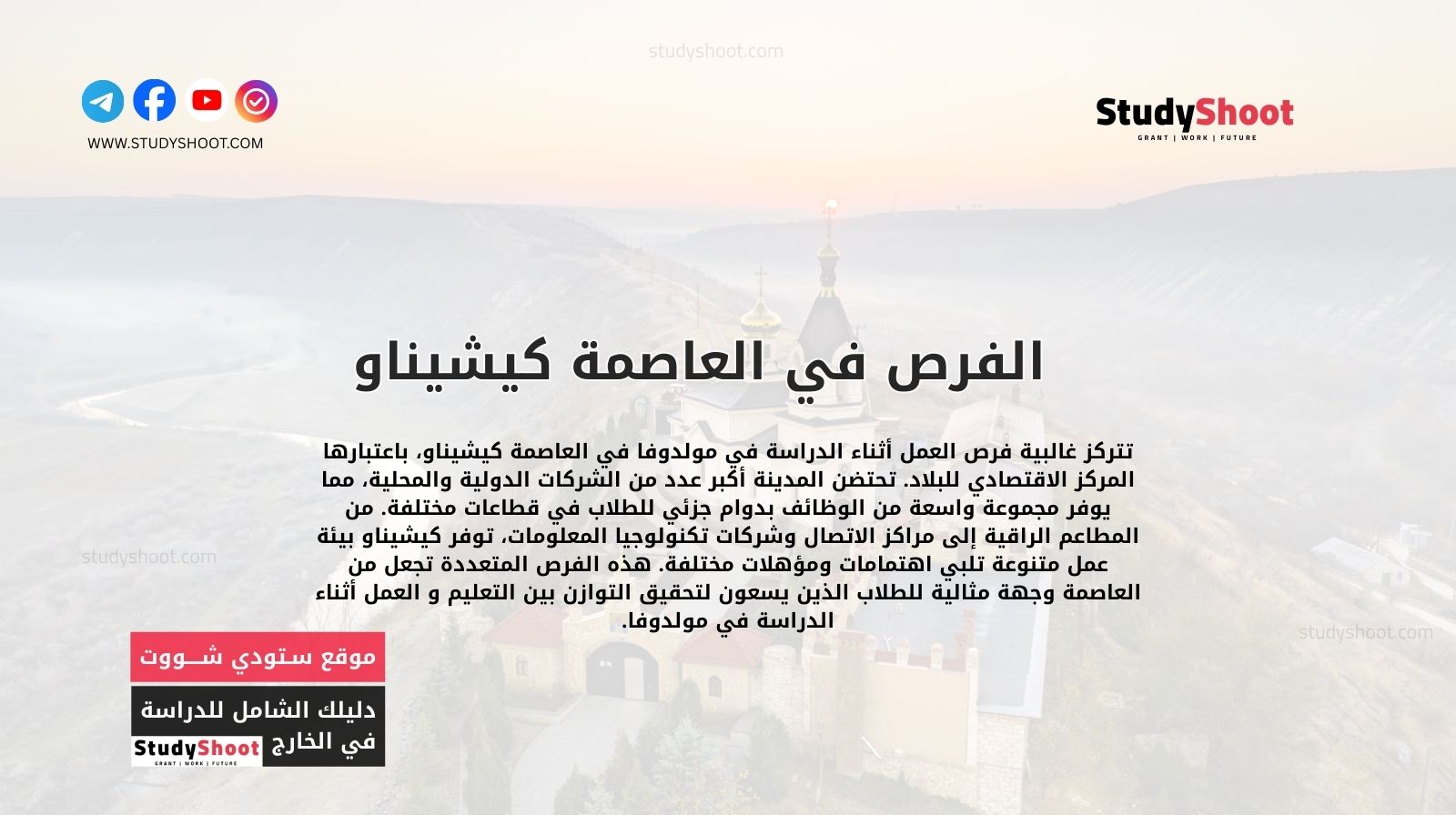 كيفية البحث عن وظيفة