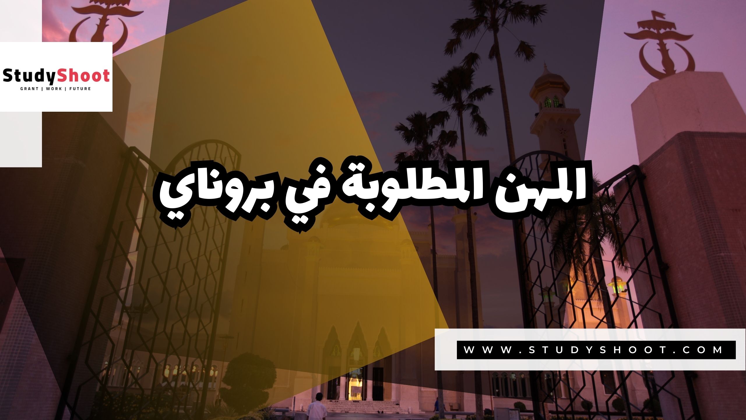 المهن المطلوبة في بروناي