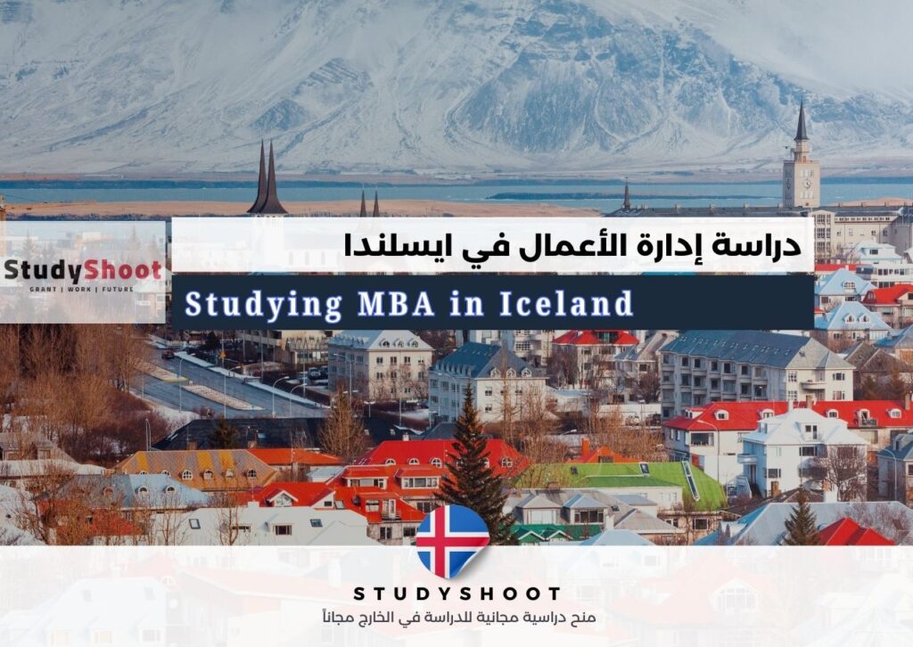 دراسة إدارة الأعمال في أيسلندا
