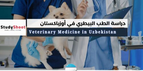 دراسة الطب البيطري في أوزباكستان
