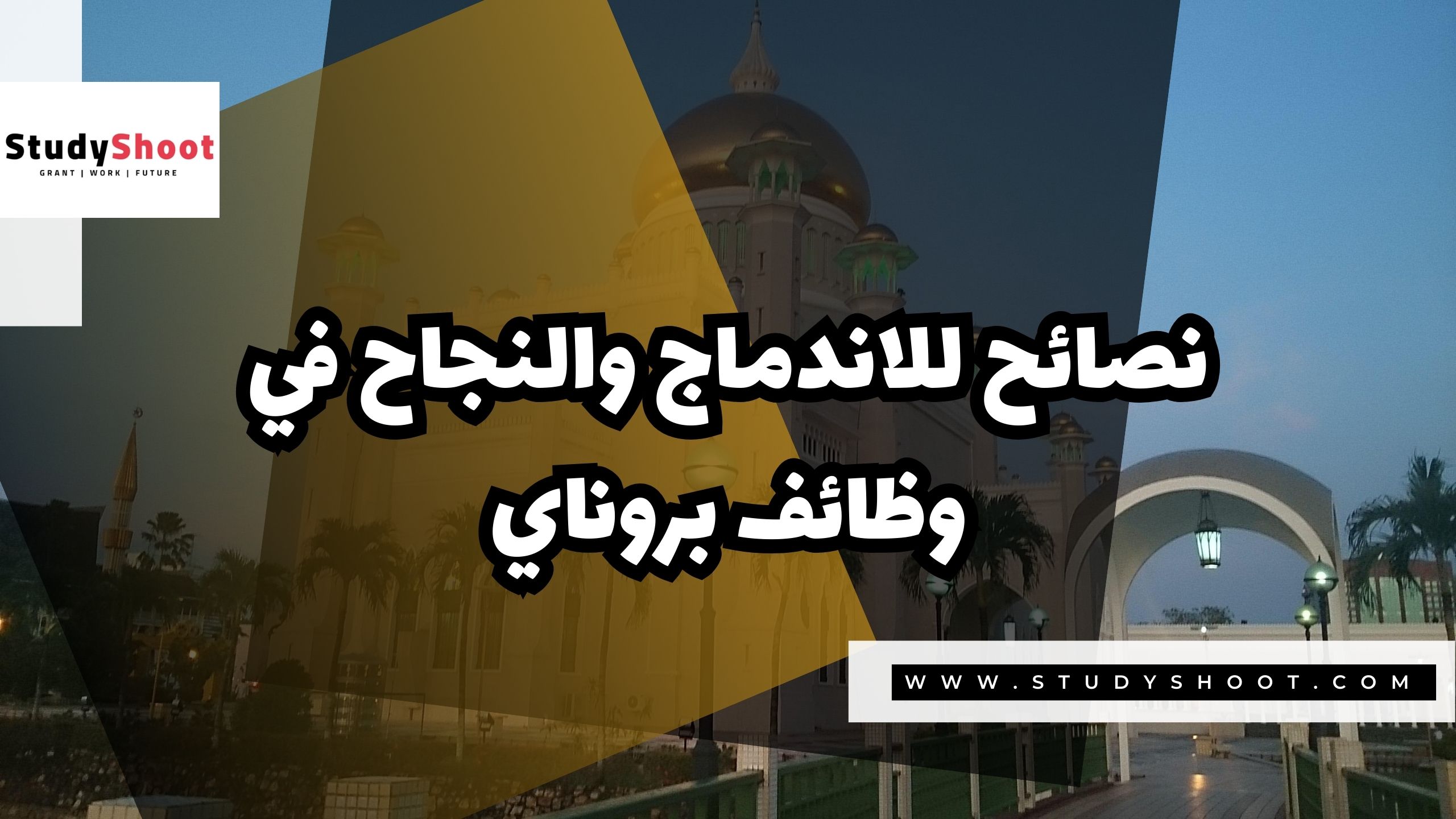 نصائح للاندماج والنجاح في وظائف بروناي