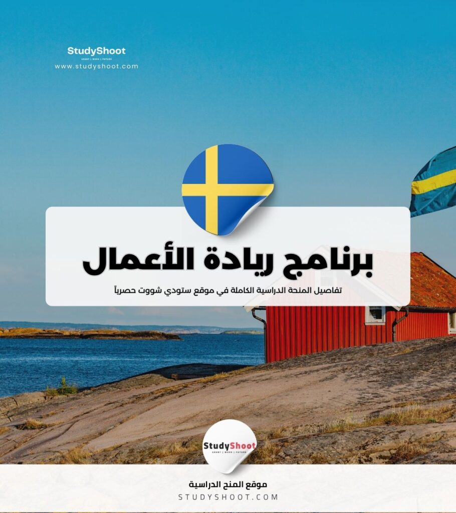 برنامج ريادة الأعمال في السويد