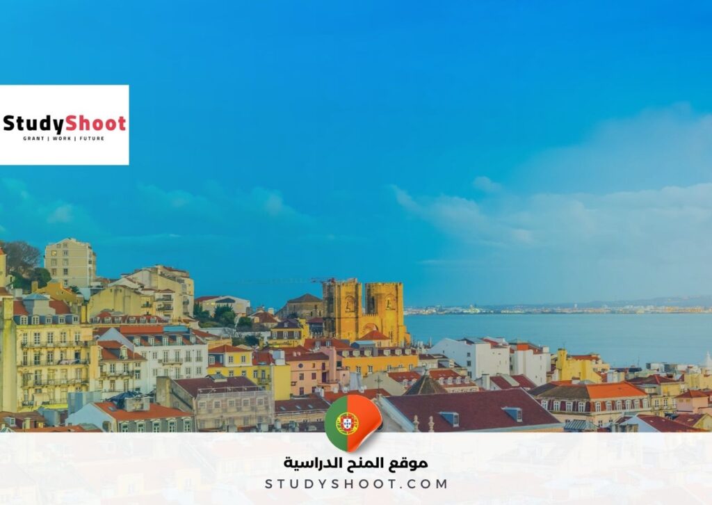 الصورة الحالية: فيزا D7