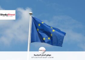 المغرب ودولة ثانية من أكثر الجنسيات العربية الحاصلين على الجنسية الأوروبية لعام 2025