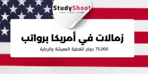 زمالة 9 شهور في أمريكا برواتب شهرية وسكن مجاني