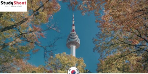 برنامج تبادل طلاب كوريا الشتوي: فرصة فريدة في سيول