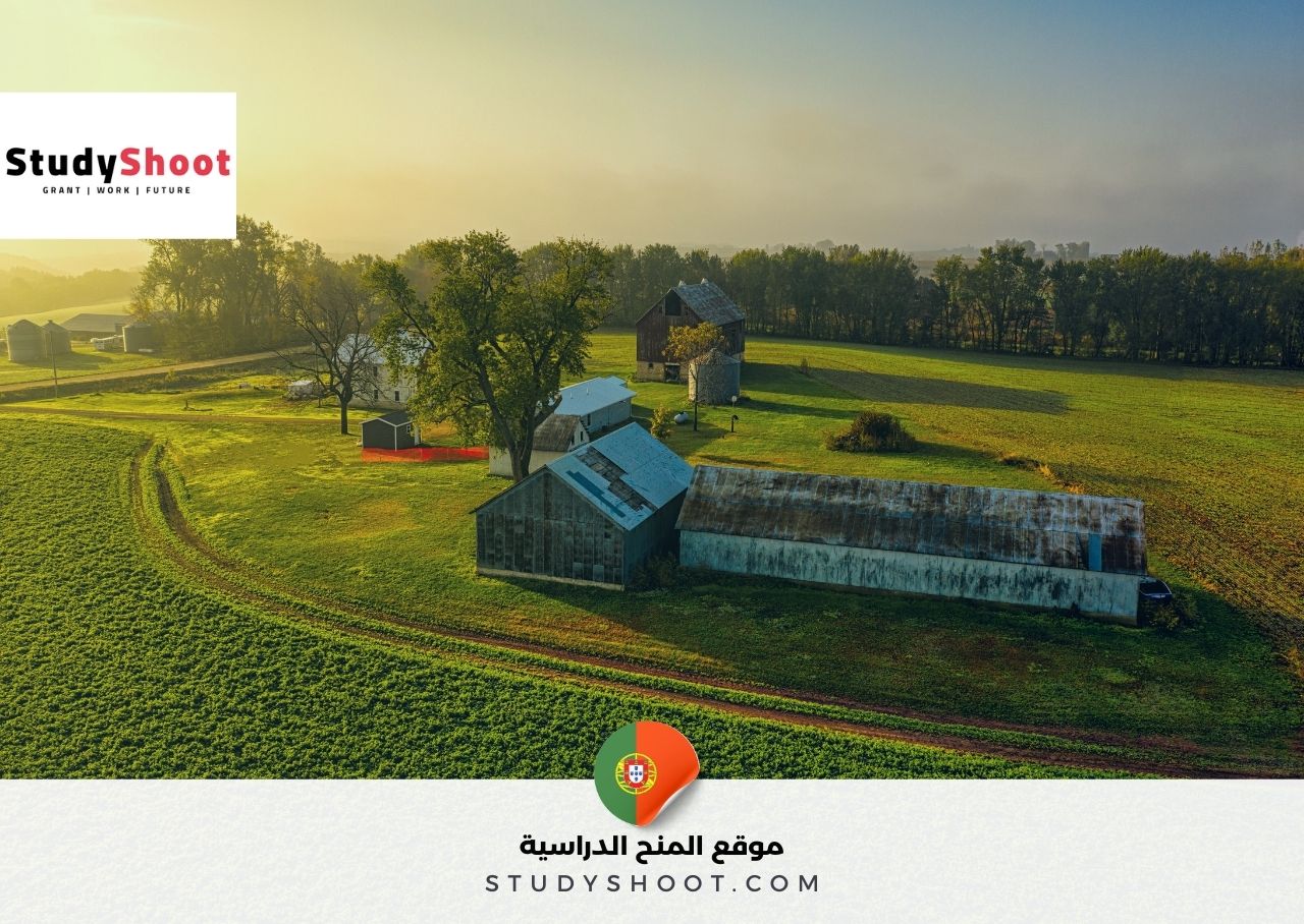 مزارع البرتغال