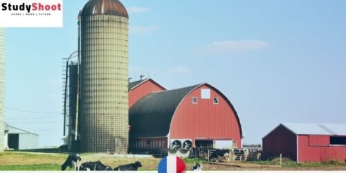 فرصة تطوع في فرنسا بالزراعة تشمل الإقامة ل 3 أشهر