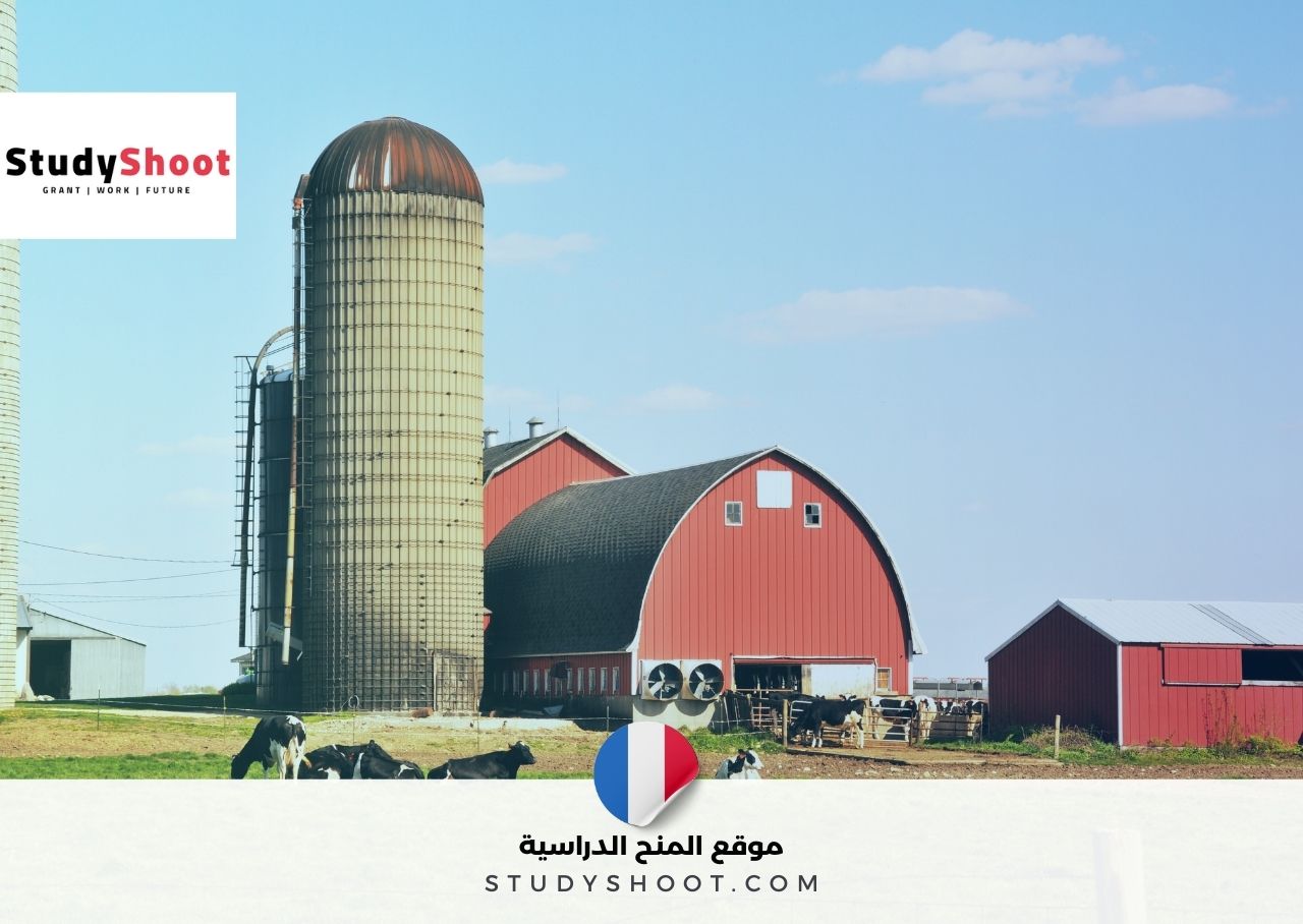 تطوع في فرنسا