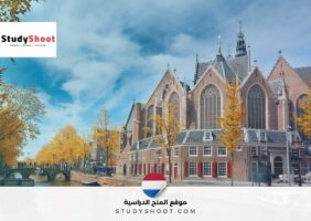 منظمة في هولندا تبحث عن زملاء لمدة 5 أشهر مع توفير راتب وسكن