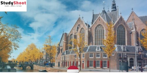 منظمة في هولندا تبحث عن زملاء لمدة 5 أشهر مع توفير راتب وسكن