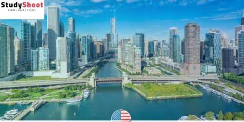 شهادات اعتماد من جامعة شيكاغو ضمن برنامج تدريب ممول بالكامل